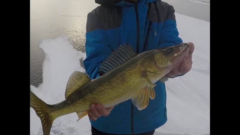 Exploring the Thrills of Ice Fishing in Canada's Frozen Lakes, ice fishing game online