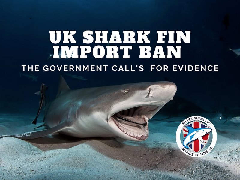 Unleashing the Power of Admiral Shark Casino in the UK